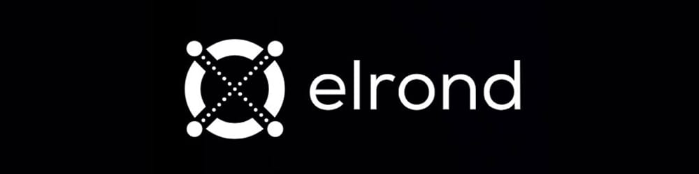 The Team from Oasis Network & A Report on Elrond - - 2022